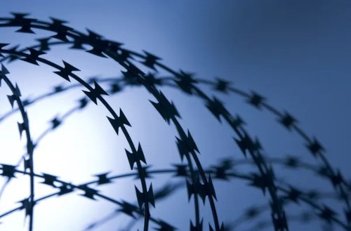 Concertina Wire Barrier (3D)