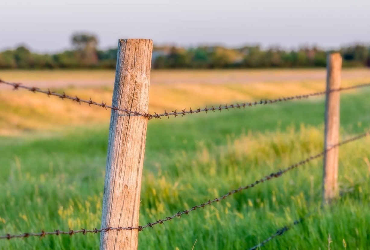 Barbed wire
